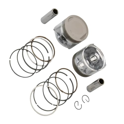 Kit de 2 pistons 49 mm pour rénover votre moto de balade 250 cm3