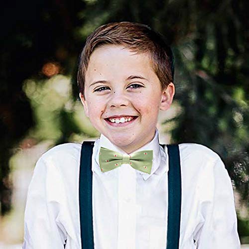 Belluno Boys Bow Ties, Pre-Tied Bow-Ties Adjustable For Kids, Children, Toddler Bowties, 8-Pack #TOP4