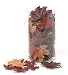 Darice 1620-99 100-Piece Maple Leaf Decor in a Canister, Brown(2Pack)