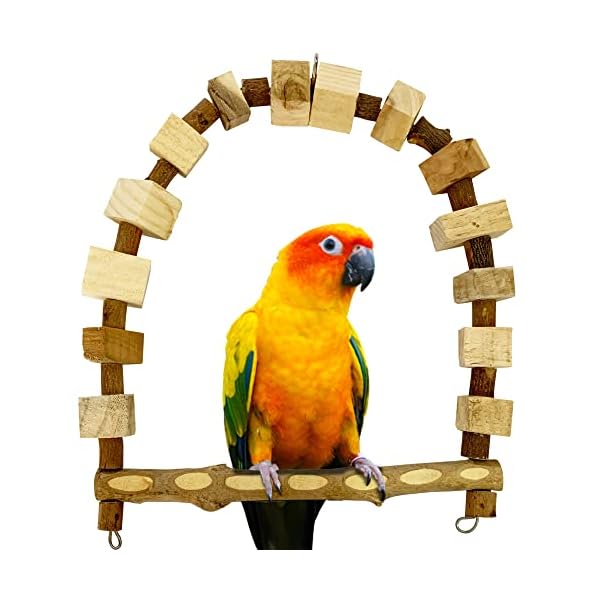 Congo® 18X12 Inch Bird Swing Wooden Bird Toys Cage Accessories for Conure, African Grey, Senegal, Amazon, Macaw and Other Birds Piece of 1