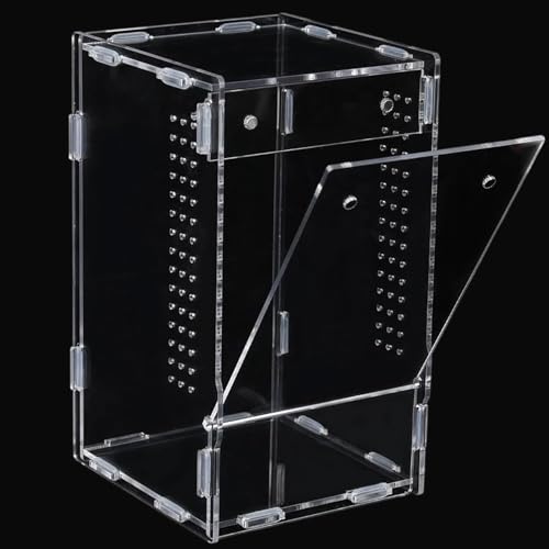 Caja de hábitat de araña saltadora antifugas con flujo de aire óptimo 3