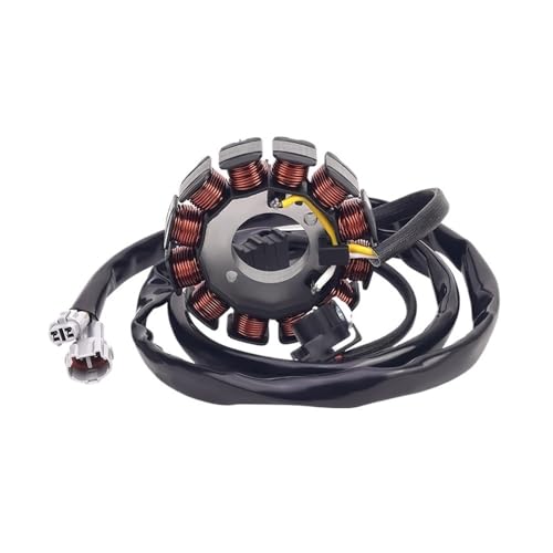Bobine de stator pour WR250F et WR250 remplace 5UM-81410-09-00