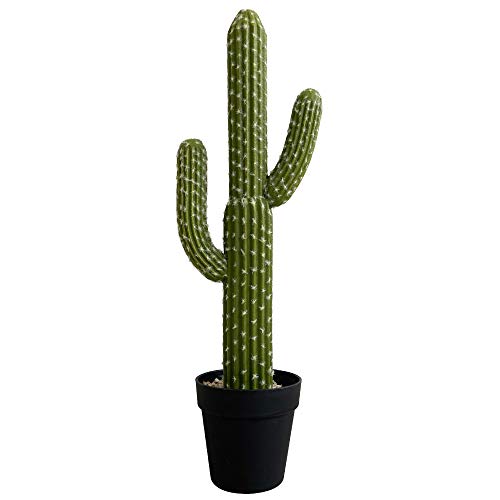 momoplant Artificial Cactus Succulent Plant, 24 Inch Tall Faux Fake Desert Cacti Plant with Black Planter for Home Garden Office Floor Decor