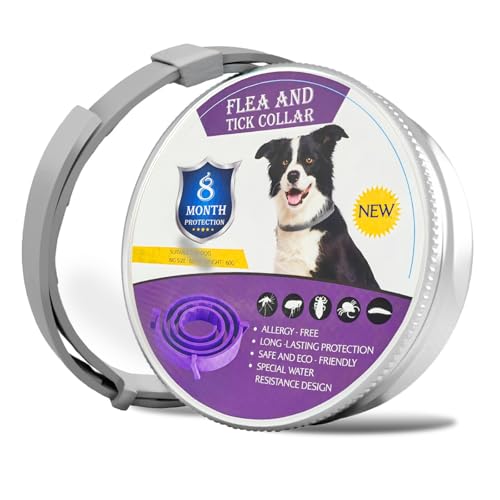 Collar para Perros a Prueba de Insectos, Ajustable para Mascotas Grandes, Medianas y pequeñas