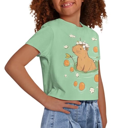 Image of Girls Crop Tees Crew Neck Casual Short Sleeve T Shirts Kids Loose Soft Comfortable Tees Blouses Shirt for Little Girl
