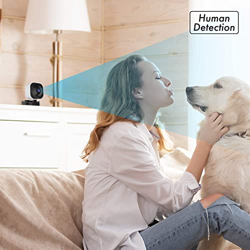 Image of MOMENTUM 2K Indoor Security Camera, Cameras for Home Security, Home Security Camera WiFi, Motion Detection, IR Night Vision, Phone App, 2-Way Audio, HD Video, Siren, 24Hr Cloud Storage, Micro SD Card
