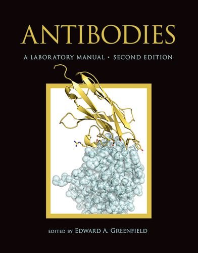 Preisvergleich Produktbild Antibodies a Laboratory Manual, Second Edition
