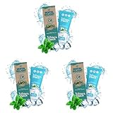 DENTAL DELIGHT 1 x Zahncreme Polar Punch Minze-Gletscher Geschmack, vegan klimaneutral ohne Mikroplastik (Packung mit 3)