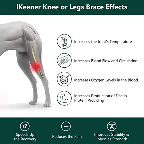 iKeener Pet/Vet Therapy Device,Cold Laser Therapy Relieve Animal's Muscle Joint Pain,Portable Handheld Red Light Therapy Device,for Dogs,Cats,Horses and Others (White - Image 2