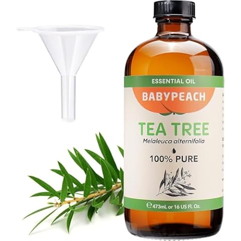 3 Bottles 100% Pure Super Large 16oz Tea Tree Essential Oil, Organic and Natural Tea Tree Oil for Hair, Therapeutic Grade for Diffuser and Handmade Products Cover