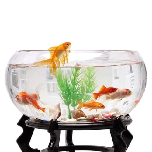  KX  ANAE {E ϗtA e  CeA e IuWF eE ԕr (20cm)