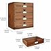 PACKGILO Wooden Storage Box with Drawers Vintage Office Supplies and Accessories Letter Tray Wood Desktop File Organizer 4 Tier Paper Sorter School Supply Holder Rustic Jewelry Box (LARGE BROWN)