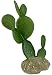 Multi Pet 48593322: Komodo Cactus Plant Prickly Pear, 6.3In