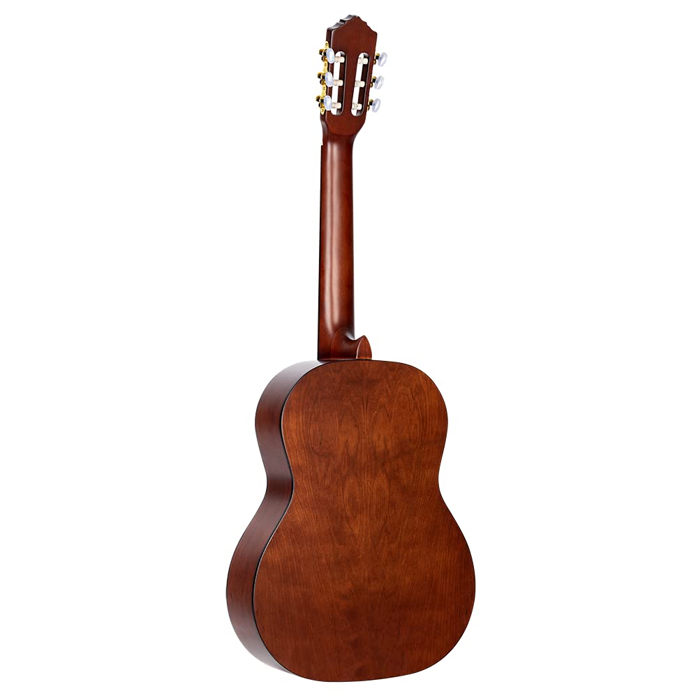Ortega Guitars Family Series Pro Chitarra Acustica, 6 Corde, Finitura Semilucida, Catalpa