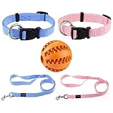 AMATHINGS Welpen Halsbänder Set in Blau und Rosa – Welpenhalsbänder mit Leine – Größenverstellbares Welpenhalsband perfekt für das Leinentraining geeignet – Welpenset