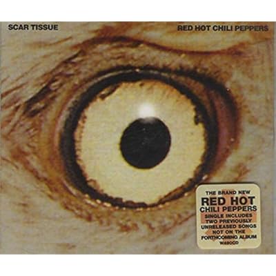 Scar Tissue
