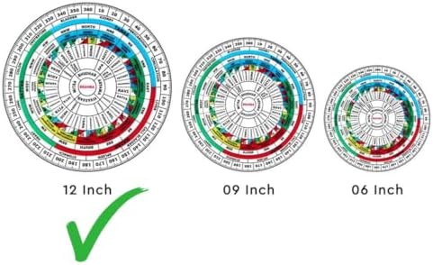Treemaison Coronating Homes Vastu Shakti Chakra (12 Inch) | 45 Devtas & 16 Attributes with Health Chart | Vastu Shastra Remedy for Home & Office | Acrylic Design