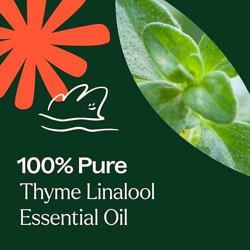 Aceite esencial Thyme Linalool 30 mL puro miniatura 2