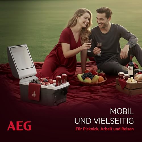 AEG Automotive Board-Bar BK 16 Thermoelektrische Kühl- und Warmhaltebox 16 Liter, 12 Volt für Auto und Steckdose, anschnallbar im PKW, Schwarz,hellgrau