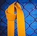 RiNTREE 1.5inch x 8.5ft Karate Yellow Belt for Coach Teaching Practice - Martial Arts Belt Display, Taekwondo Belt Display, Karate Belt