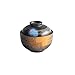 TONGTONG - Pentola per stufato in ceramica in stile giapponese con coperchio, per zuppa a vapore, per casa, cucina, uova, dessert, erbe medicinali, nido d'uccello, a prova di acqua, a prova di acqua