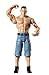 WWE Survivor John Cena