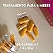 Complejo de Vitamina B - 180 Cápsulas para 6 Meses - 296,3...