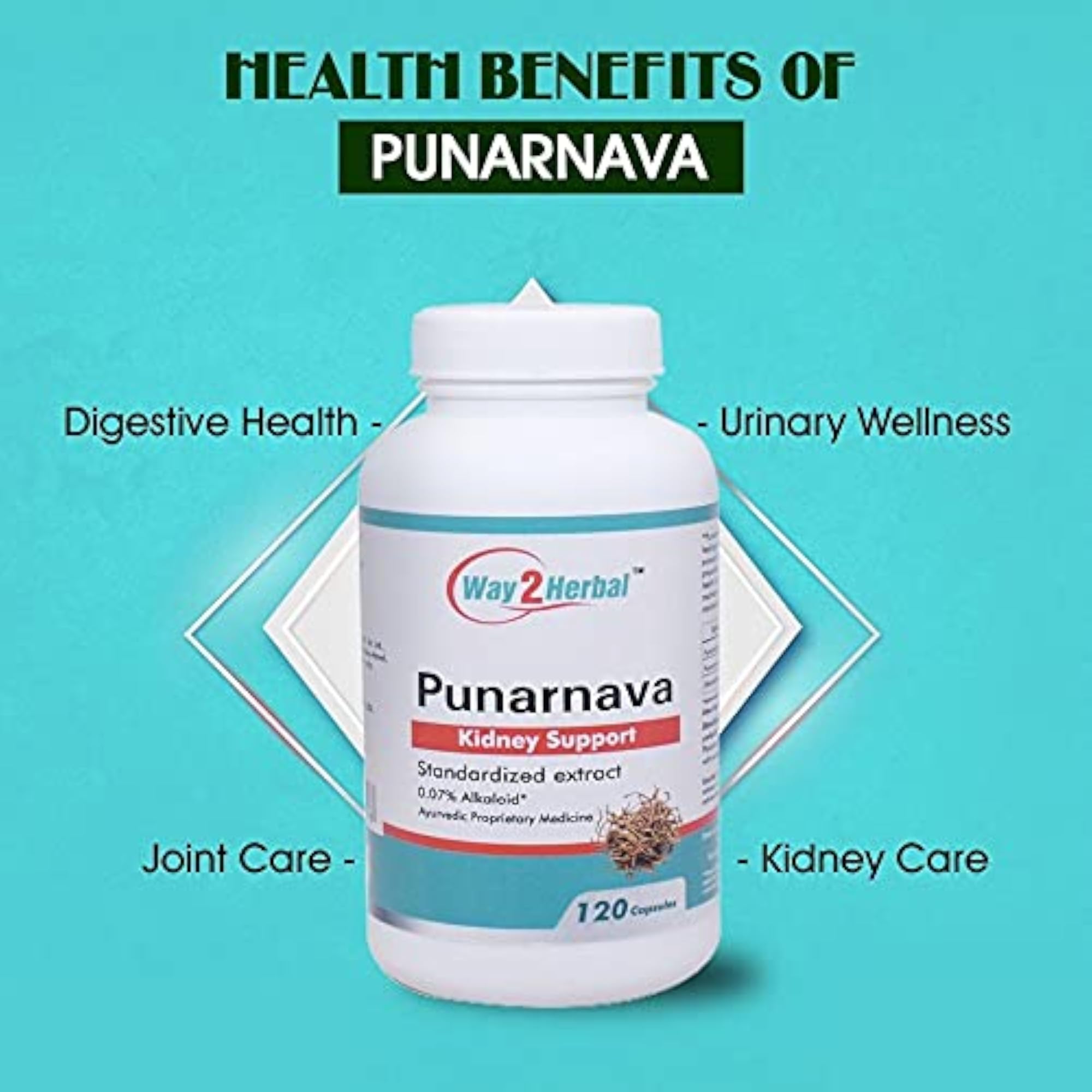 Way2Herbal Punarnava Capsules, 120 Count Natural Wellness