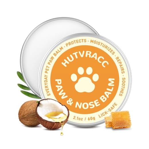 Hunde Pfotenbalsam für den ganzjährigen Schutz