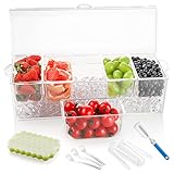 Condiment Server, Ice Chilled 5 Compartment Server Caddy Ice Party Serving Bar Condiment Server...