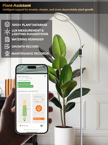 Image of Smart Grow Lights for Indoor Plants, Plant Light with Auto-Timer, Full Spectrum LED Grow Light, Adjustable Height & Stepless Dimming,Plant Assistant Suitable for Most Plants (White, Single Head)