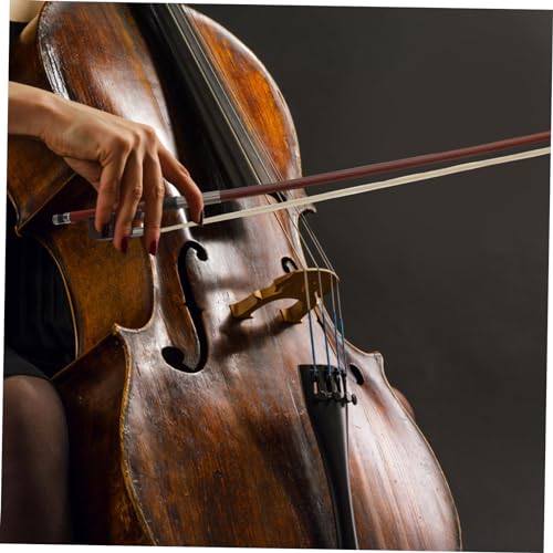 Vaguelly 2 `F̋| uWEbh̋| |j[e[̋| yANZT[ y̋| ~[WJANZT[  `F̕i `F|y핔 n̖т̋| cNV̖ Brown