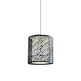 SHAple Lámpara colgante con forma de jaula de pájaros, luces colgantes retro simples, lámparas colgantes huecas de hierro, lámpara de araña con base E27, dormitorio, mesita de noche, sala de estar, co