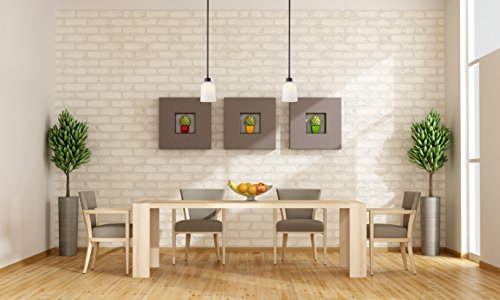 Canarm Ipl431A01Orb Pendant Light, Oil-Rubbed Bronze #TOP2