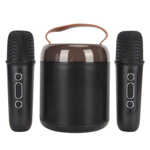 Conjunto de 2 microfones, alto-falantes de karaokê requintados 5.3 para quarto para acampamento (#2)