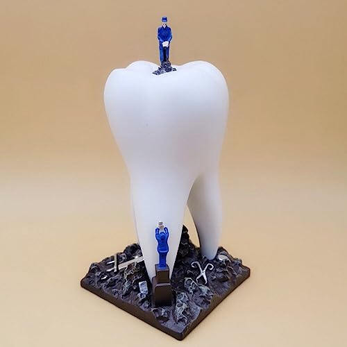 Sculpture d'art de dentiste en forme de dent pour décoration de bureau - 3