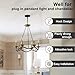 haultop Upgraded Version 4.1Inch Light Canopy Kit Black, Chandelier Hook with Mounting Hardware, Iron Ceiling Canopy Kit for Pendant Light, Ceiling Hooks Cover Plate, Easy to Install, Varied Sizes