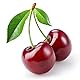 Vets Best BestBest Bitter Cherry Spray- Knabber Stopp, 7.5oz