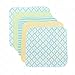 Spasilk Washcloth Wipes Set for Newborn Boys and Girls, Soft Terry Washcloth Set, Pack of 10, Green Diamonds