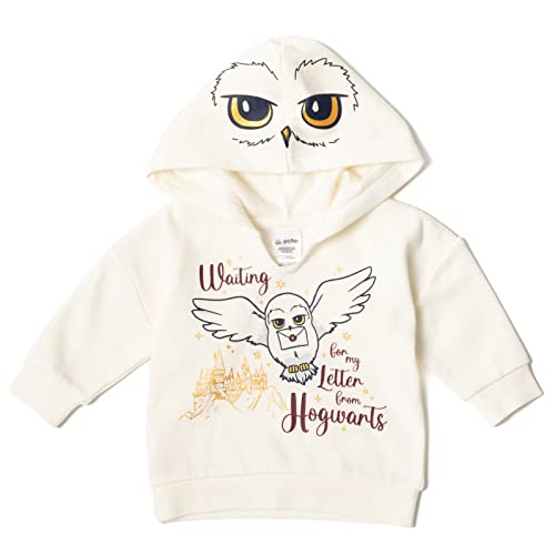 Harry Potter Baby Fleece Pullover Hoodie Bodysuit and Pants 3 Piece Outfit Set Newborn to Infant4
