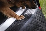 Autohundebett Reisebett Hundebett für Kofferraum Transportsystem 100x70cm (Farbe: schwarz)