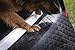 Autohundebett Reisebett Hundebett für Kofferraum Transportsystem 100x70cm (Farbe: schwarz)