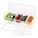 Tebery Large Clear Chilled Condiment Server with Lid and 5 Removable Compartments