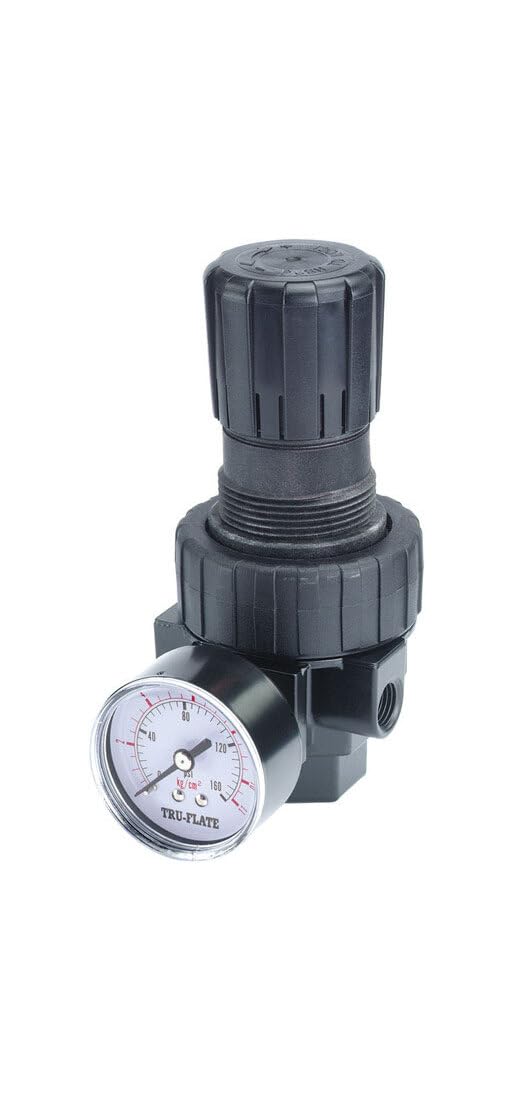 REGULATOR W/GAUGE 125PSI