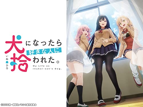 犬になったら好きな人