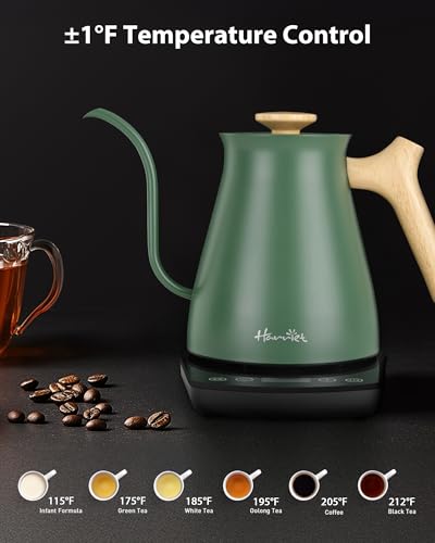 Electric Kettle with Temperature Control