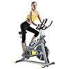 Wonder Maxi Indoor Cycling Bike, Stationary Exercise Bike Belt Drive Workout Bike with 330 Lbs Weight Capacity 45Lbs Flywheel, Ipad Holder and LCD Monitor for Home Cardio Training, Upgraded Version