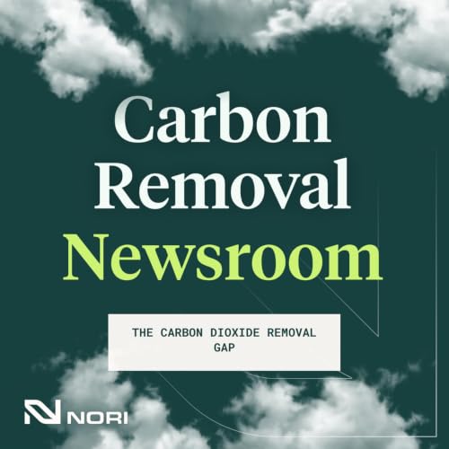 The Carbon Dioxide Removal Gap
