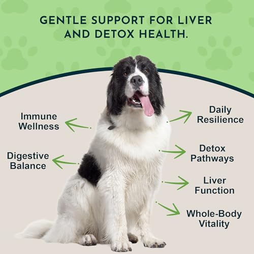 Animal Essentials Milk Thistle for Dogs & Cats - Liver Health Support, Herbal Extract, Liver Care Supplement, Organic Liquid Drops - 1 FL Oz