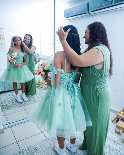 Butterfly Short Homecoming Dress for Teens 2025 Off Shoulder Tulle Prom Dress2